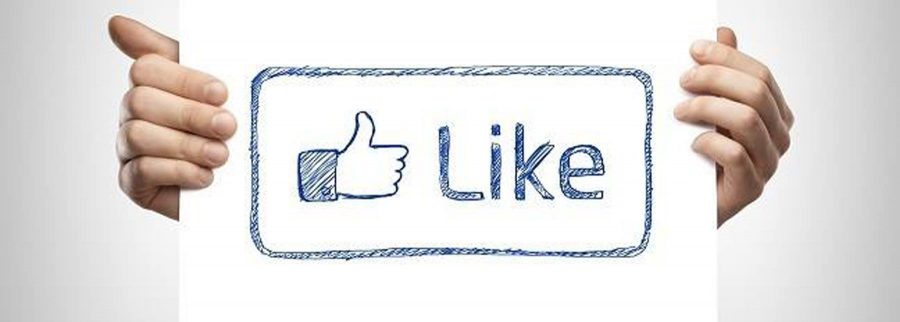 Actualment esteu veient Com créixer a Facebook en tretze passes