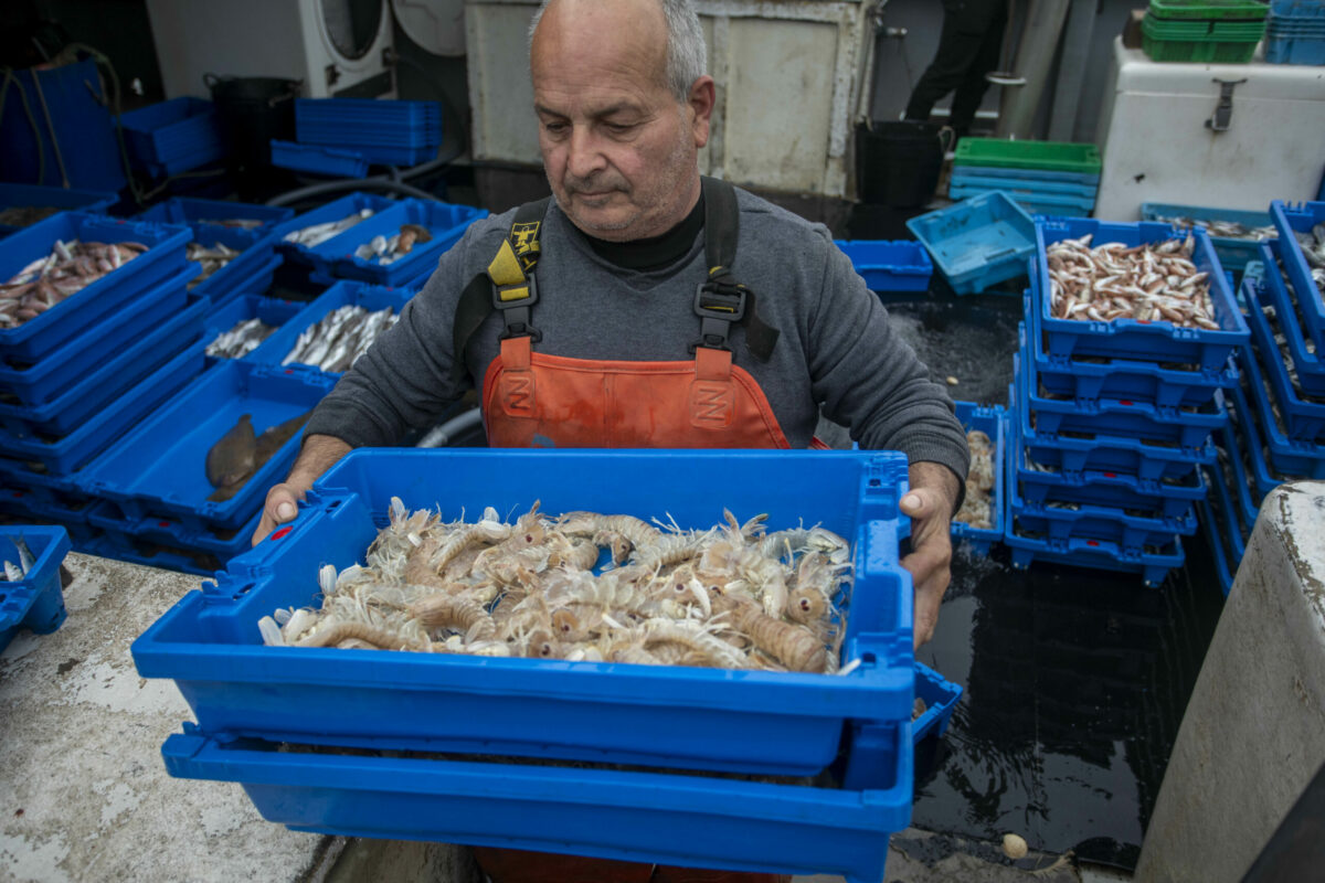 Vídeo de Nadal de Cambrils, per Vilaniu