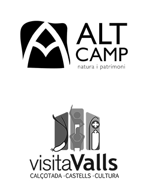 Alt Camp - Visita